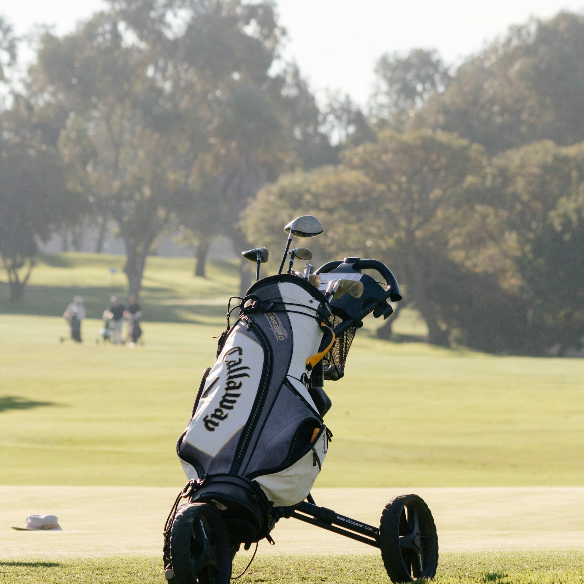 Callaway-2.jpg