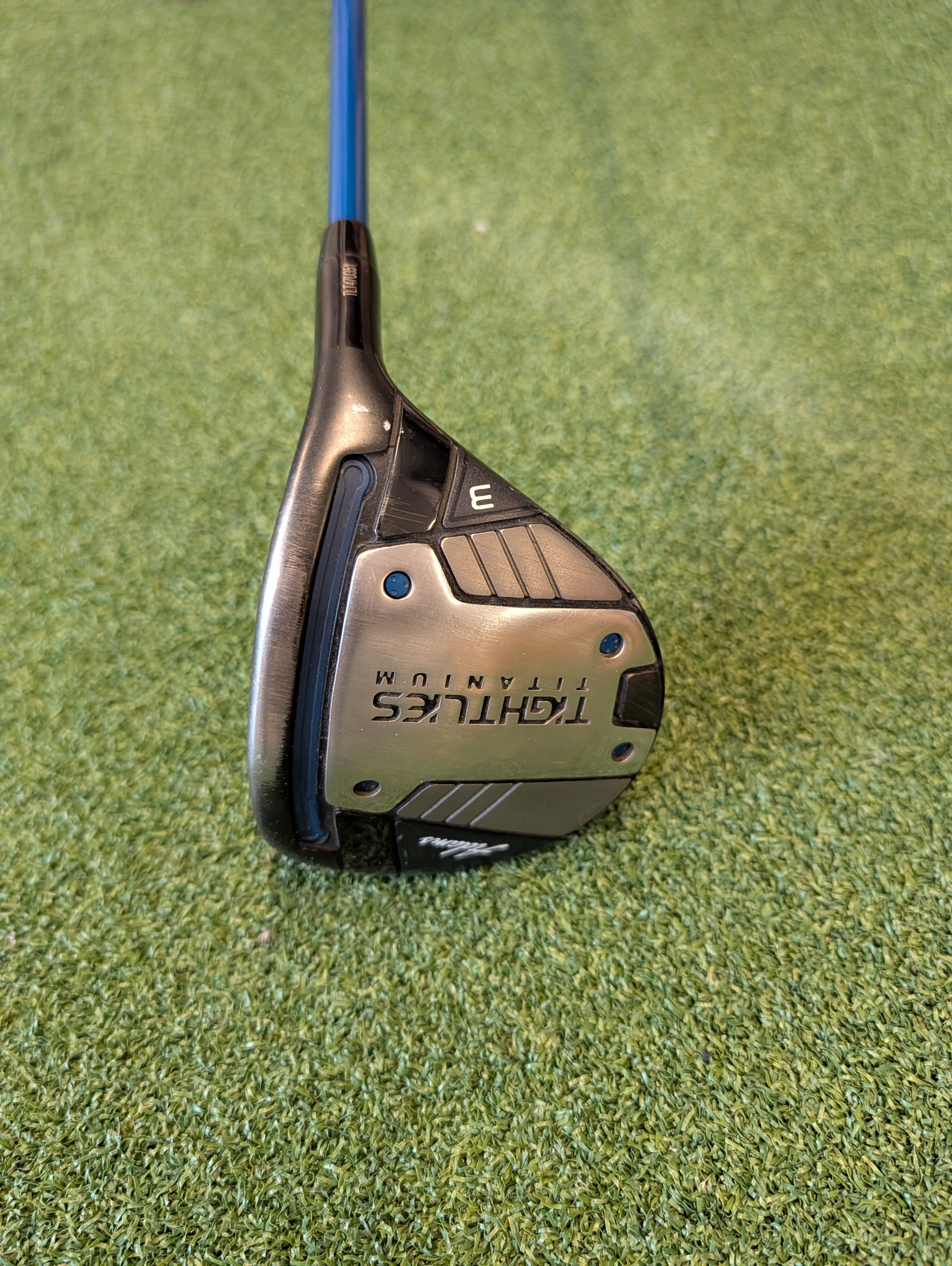 Adams Tight Lies - Madera 3