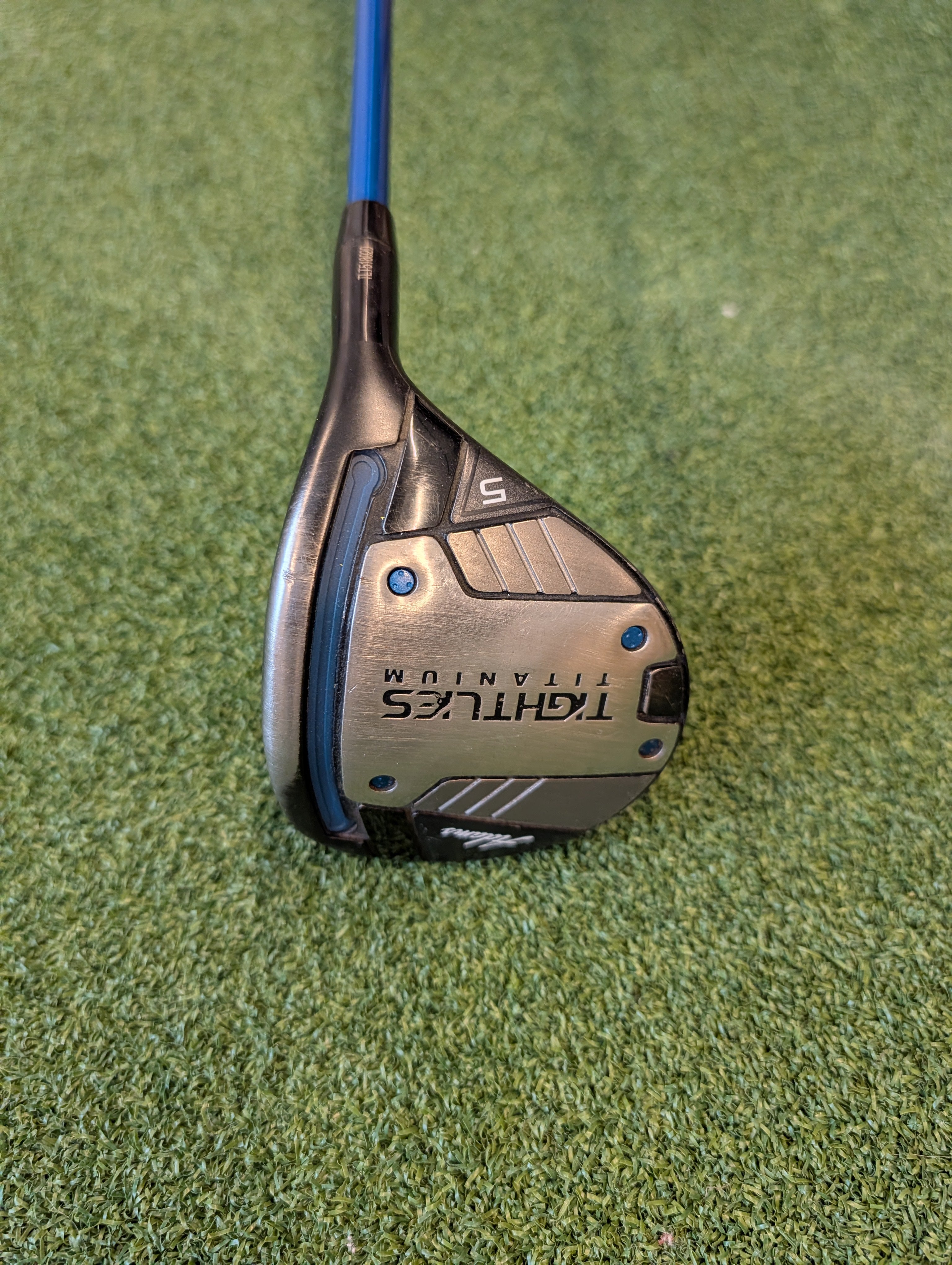 Adams Tight Lies - Madera 5