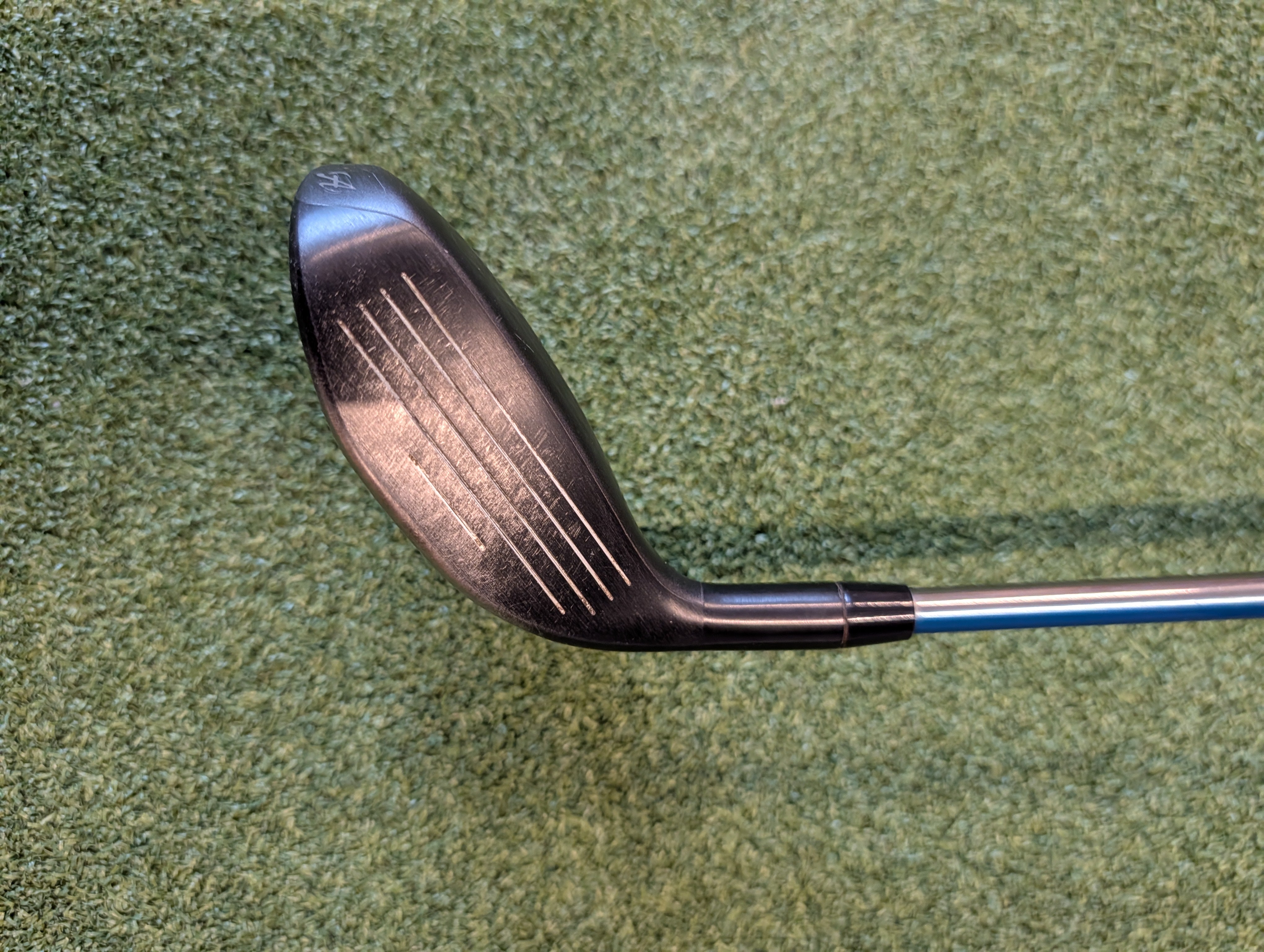 Adams Tight Lies - Madera 5