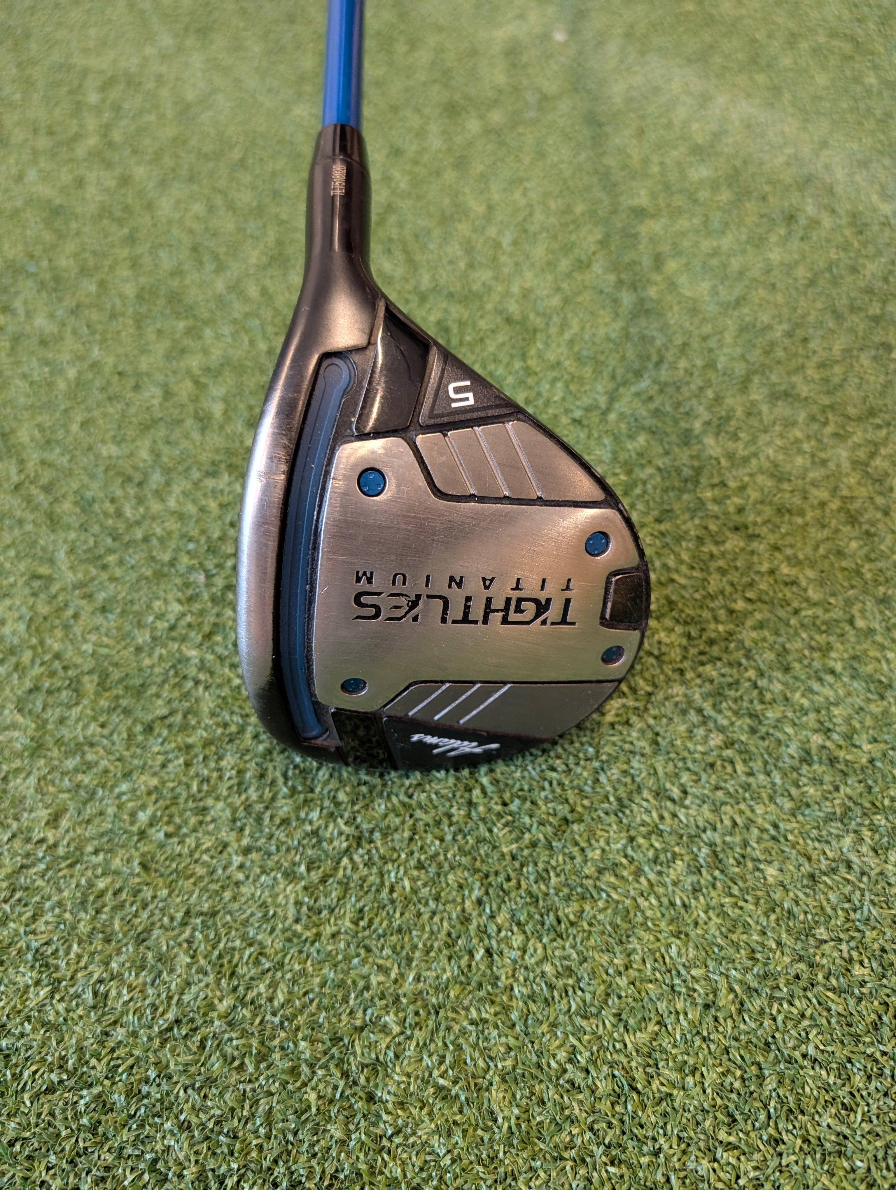 Adams Tight Lies - Madera 5